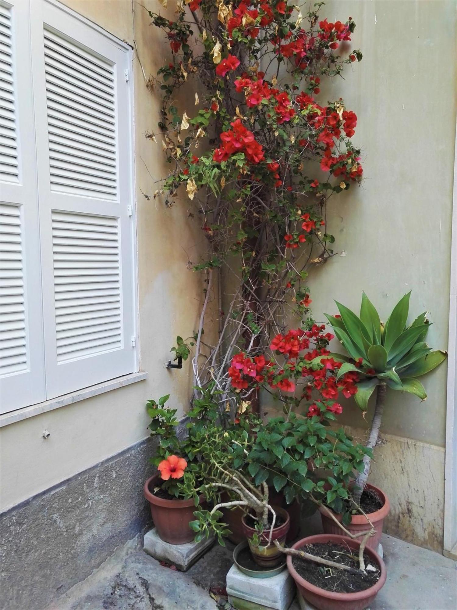 Aloha House Ortigia Villa Syracuse Exterior foto